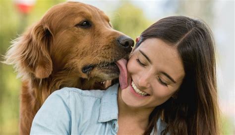 perros cojiendo con mujeres|Perros follando a mujer zoofilia